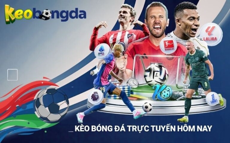 Profile banner