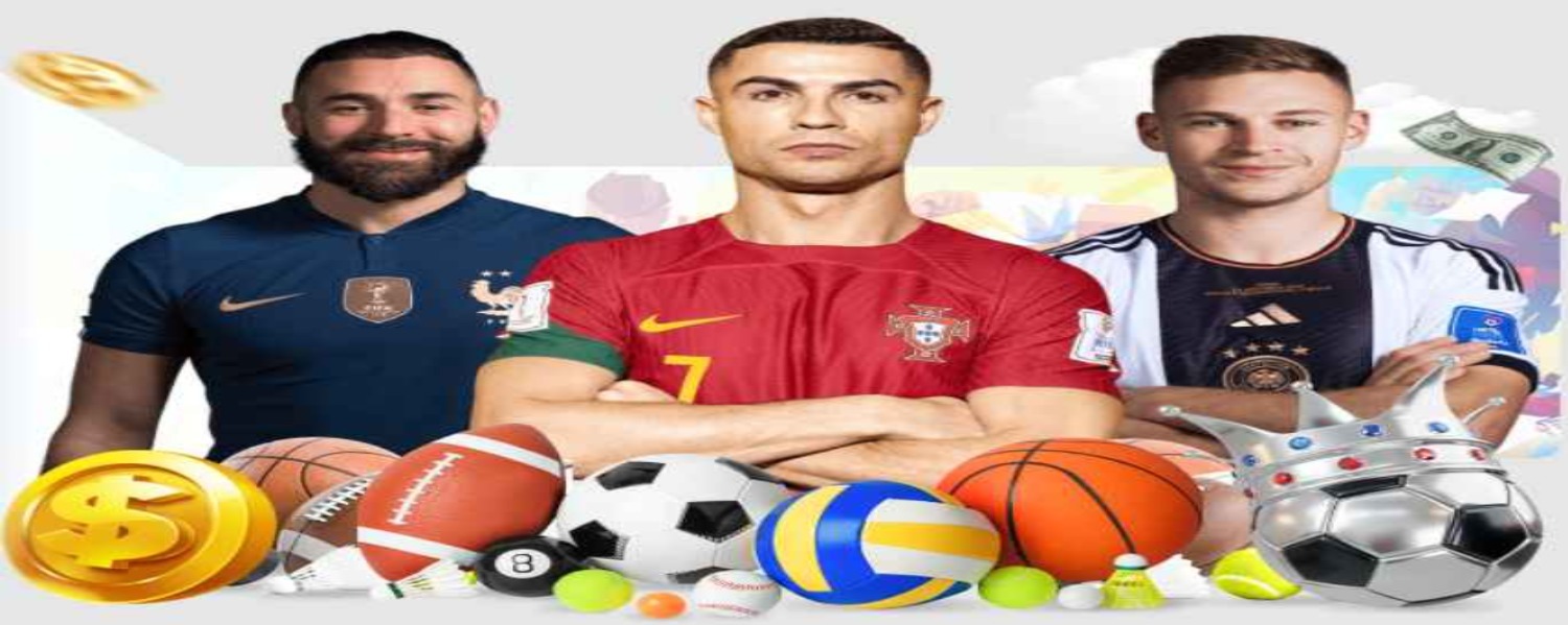 Profile banner