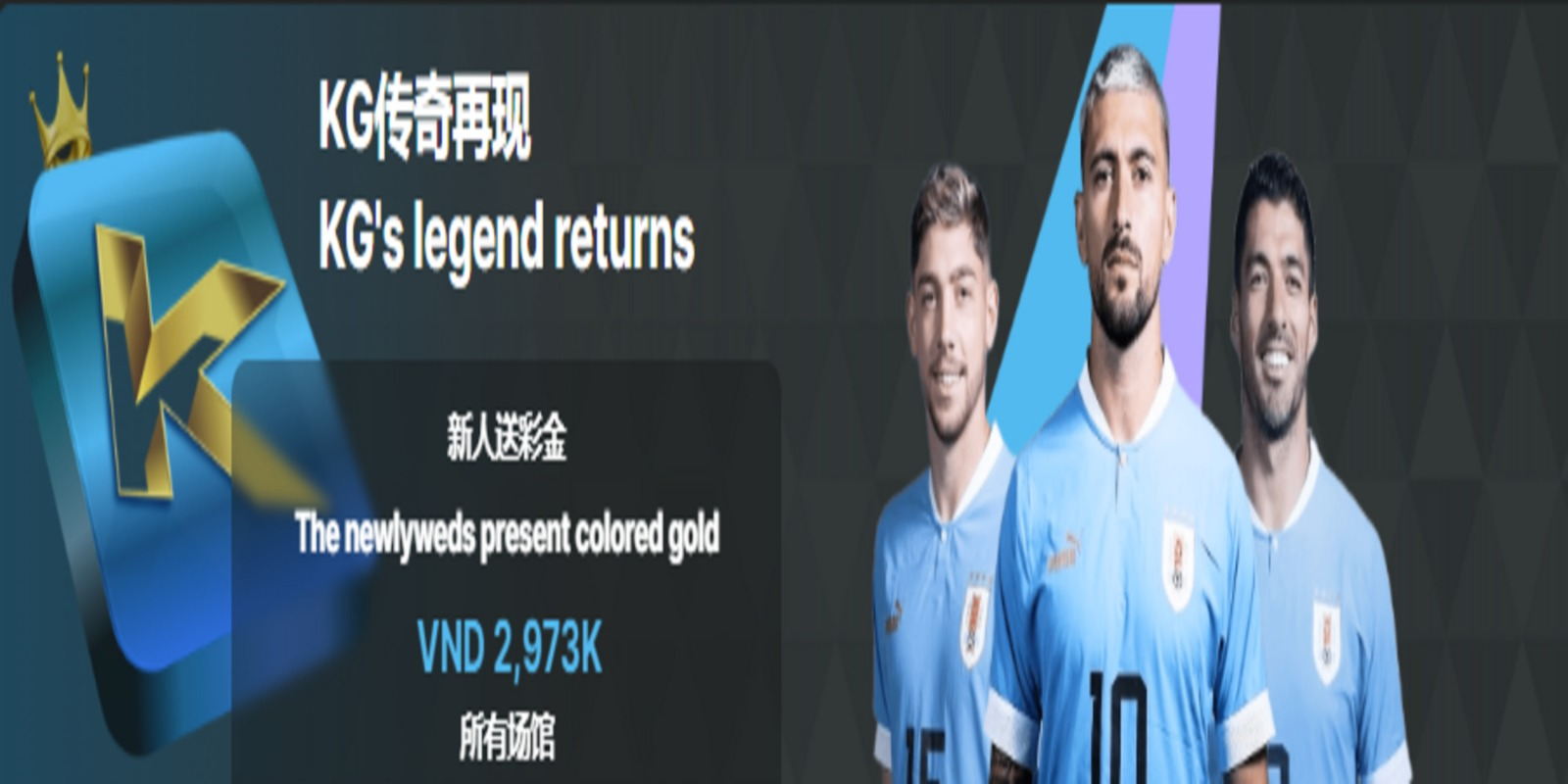 Profile banner