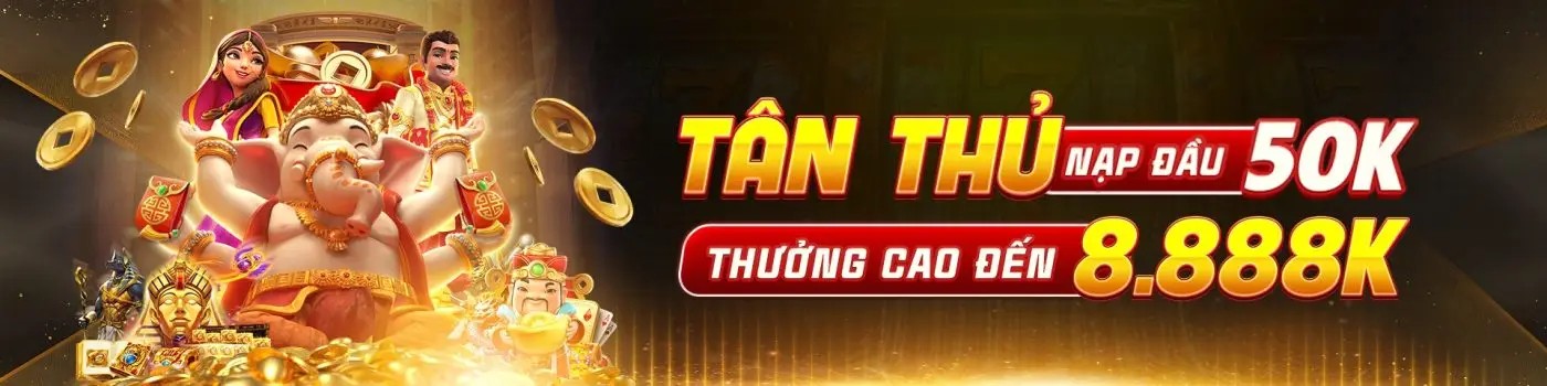 Profile banner
