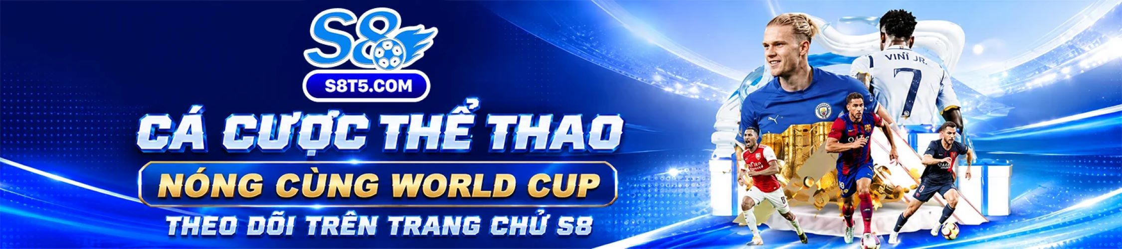 Profile banner