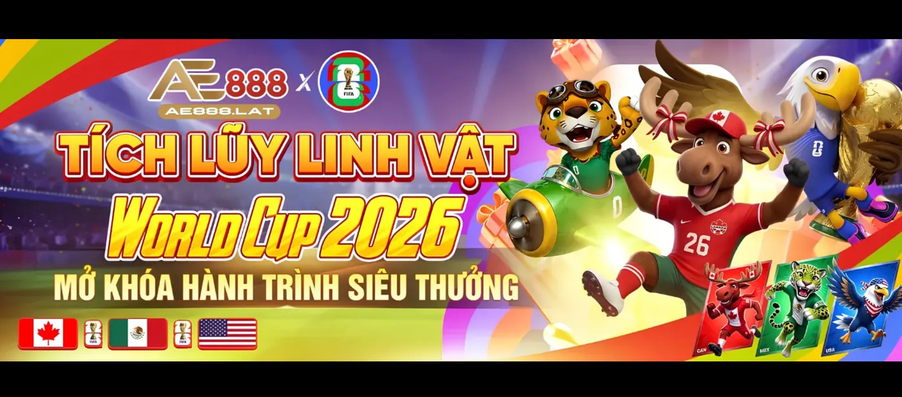 Profile banner