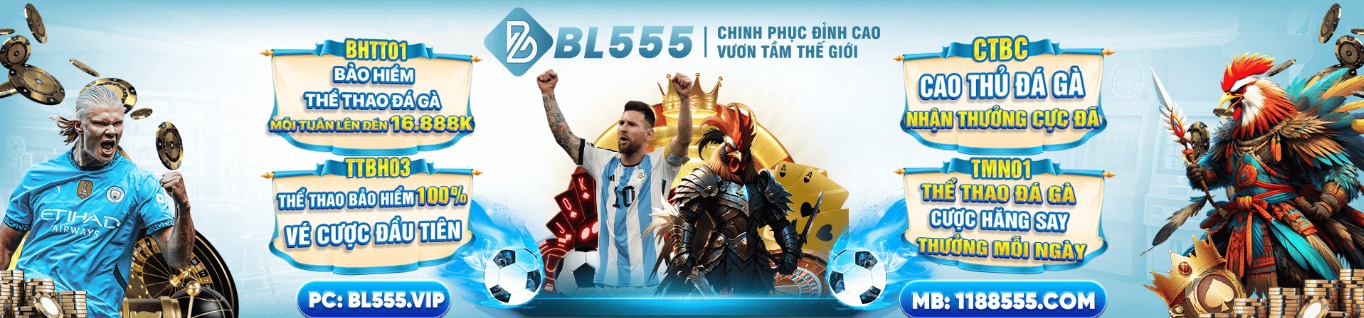 Profile banner