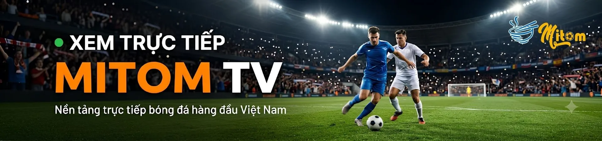 Profile banner
