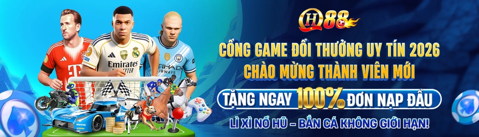 Profile banner